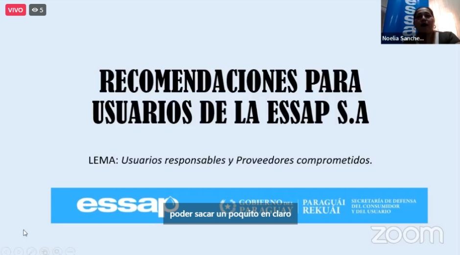 Webinar sobre “Recomendaciones para Usuarios de la ESSAP»